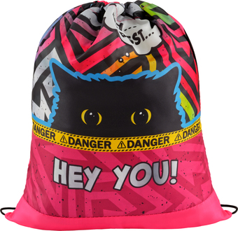 Мешок для обуви ArtSpace Spy Cat СДС_50166