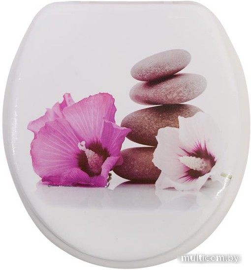 Сиденье для унитаза АкваЛиния RY3052 (орхидея)