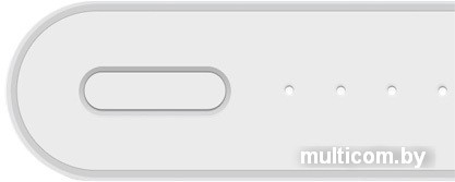 Портативное зарядное устройство Xiaomi Mi Power Bank 2 10000mAh (серебристый)