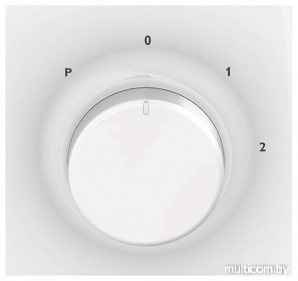 Стационарный блендер Philips HR2100/00