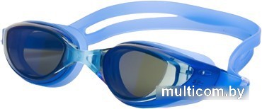Очки для плавания Atemi B1001M (синий)