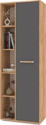 Шкаф распашной Modern Ф12 (золотой дуб/графит)