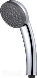 Душевая лейка Aquanet AF000-01C 246905