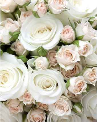 Фотообои Citydecor Букет роз с защитным покрытием 200x254