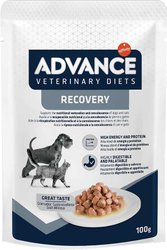 Advance Diets Recovery 100 г
