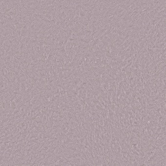 Жидкие обои Silk Plaster Art Design I 238