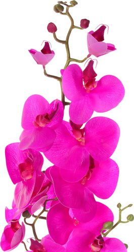 Искусственный цветок Forgarden Орхидея BN11116 (фуксия)