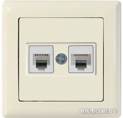 Розетка компьютерная Mutlusan Daria 2120 139 0102