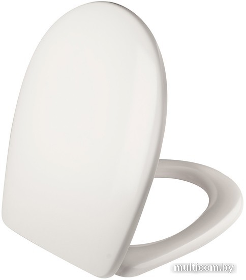 Сиденье для унитаза IDDIS ID 136 Dp Sc