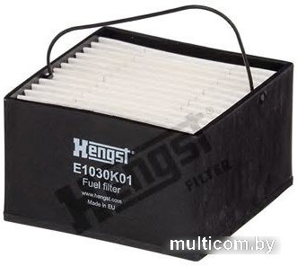 Hengst E1030K01