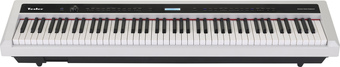 Цифровое пианино Tesler STZ-8800 (белый)