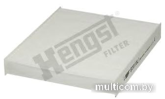 Hengst E3919LI