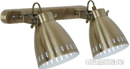 Точечный светильник Camelion New York WML-428-2 (медный)