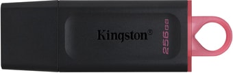 USB Flash Kingston Exodia 256GB