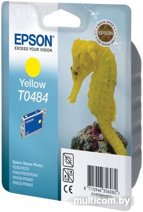 Картридж Epson EPT04844010 (C13T04844010)