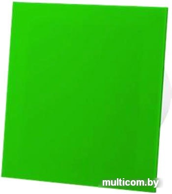 Вытяжной вентилятор airRoxy dRim 125HS-C167