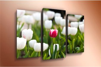 Модульная картина Arthata m-000473 120x80