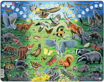 Пазл Larsen Дикие животные NB11