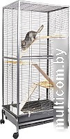 Sky Pet Rainforest Navigator 1012/SK