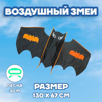 Воздушный змей Funny Toys Летучая мышь 3949853