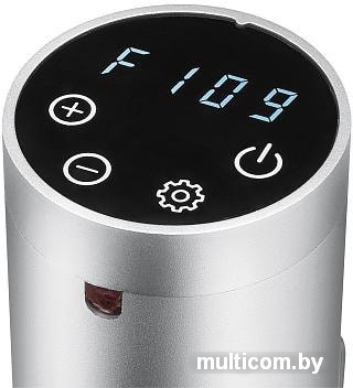 Су-вид (Sous-vide) ProfiCook PC-SV 1159