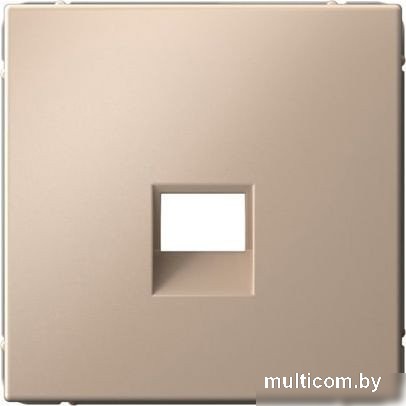 Накладка для компьютерной/телефонной розетки Systeme Electric ArtGallery GAL001284