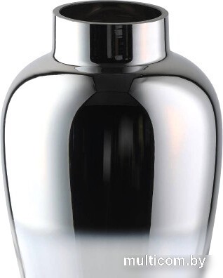 Ваза Eglo Kenyasi 421359 (стекло, прозрачный/серебряный/еркальный)