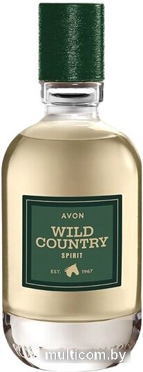 Туалетная вода Avon Wild Country Spirit EdT (75 мл)