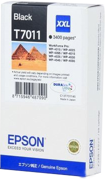 Картридж Epson C13T70114010