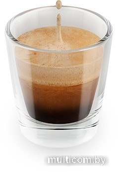 Кофе Rene Dolce Gusto Lungo Forte 16 шт