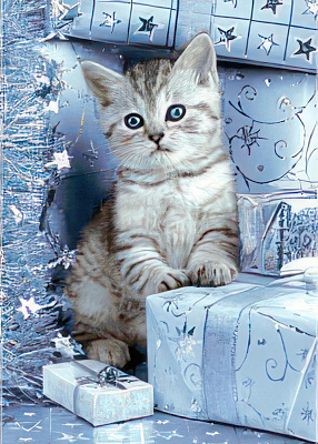 Алмазная мозаика Wizardi Котенок и подарки WD2417