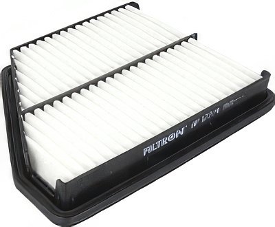 Воздушный фильтр Filtron AP177/4