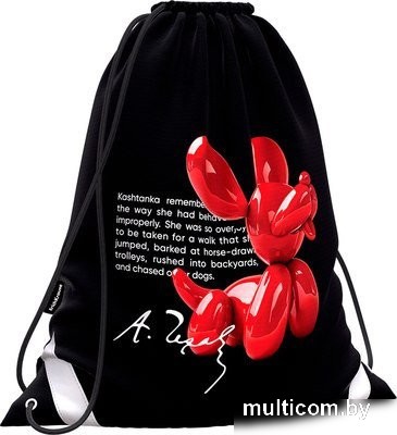 Мешок для обуви Erich Krause Balloon Dog 63022