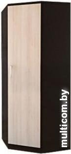 Шкаф-пенал Стендмебель Макарена ЛДСП ШК-303 (дуб белфорт/венге)