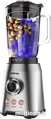 Стационарный блендер CENTEK CT-1329