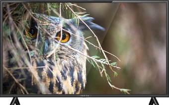 Телевизор Vekta LD-43TF5013BT