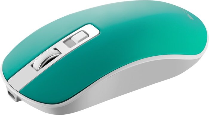 Мышь Canyon CNS-CMSW18A