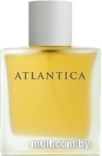 Dilis Parfum Atlantica Taboo EdT 100 мл