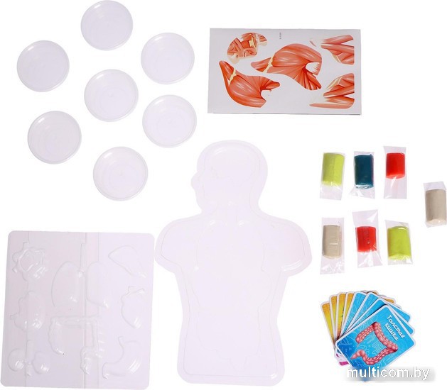 Эврики Мое удивительное тело 5540143