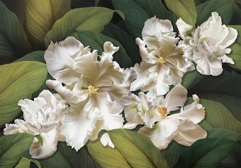 Фотообои Твоя планета Люкс Совершенство