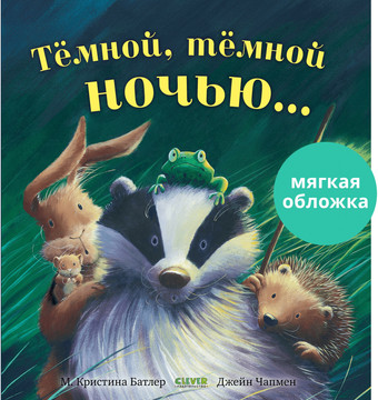 Книга издательства Clever. Книжки-картинки. Темной, темной ночью... (Батлер М.)