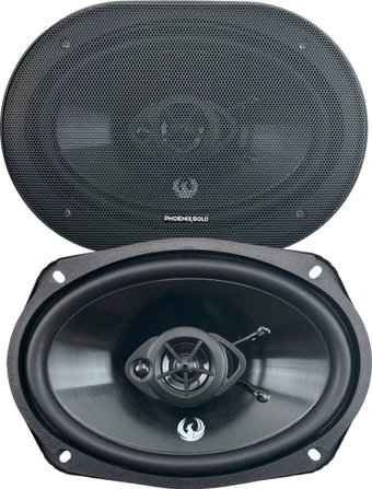 Коаксиальная АС Phoenix Gold Z69CXi