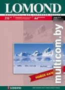 Фотобумага Lomond Глянцевая односторонняя A4 170 г/кв.м. 50 листов (0102142)