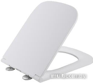 Сиденье для унитаза WeltWasser 5021 GL-WT