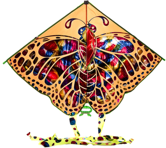 Воздушный змей Ausini VT20-10415 (в ассортименте)