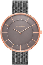 Наручные часы Skagen SKW2584
