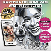 Картина по номерам QBRIX Original 40030