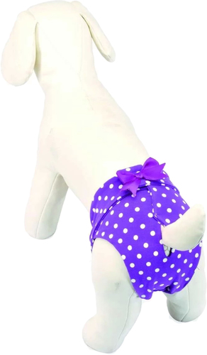 Гигиенические трусы Camon из микрофибры C206/D (р. 3, фиолетовый в горошек)