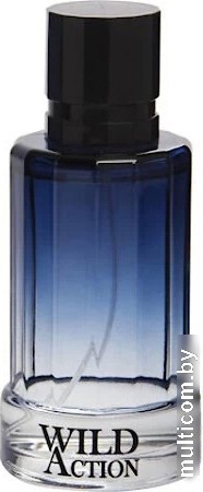 Туалетная вода Real Time Wild Action Men EdT (100 мл)