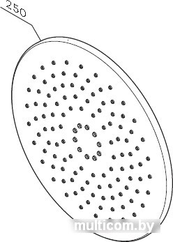Верхний душ AM.PM F0580000